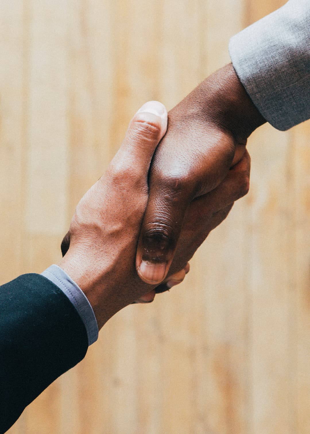 University partnership discussion